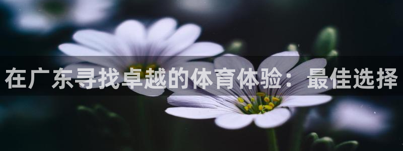 星欧娱乐是正规平台吗知乎文章