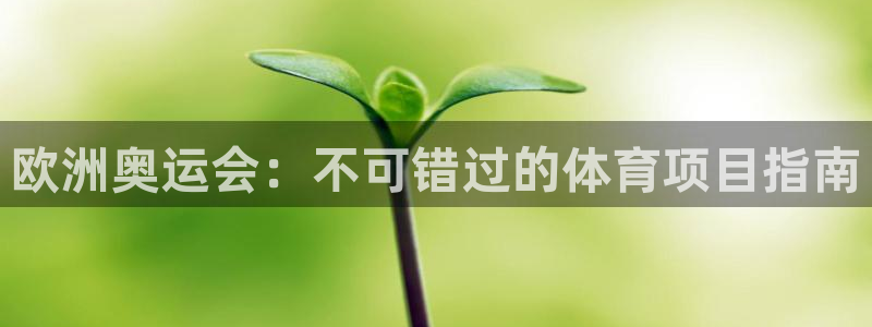 星欧娱乐扣款流程详解