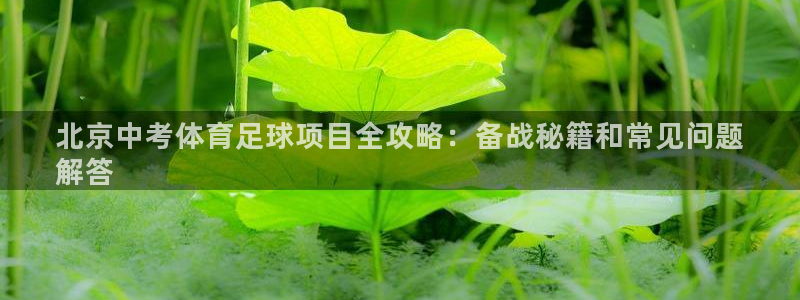 星欧娱乐24小时客服电话