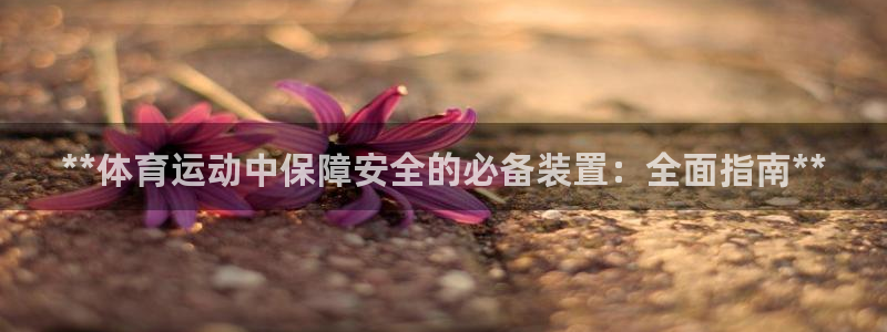 星欧娱乐属于什么档次的软件啊