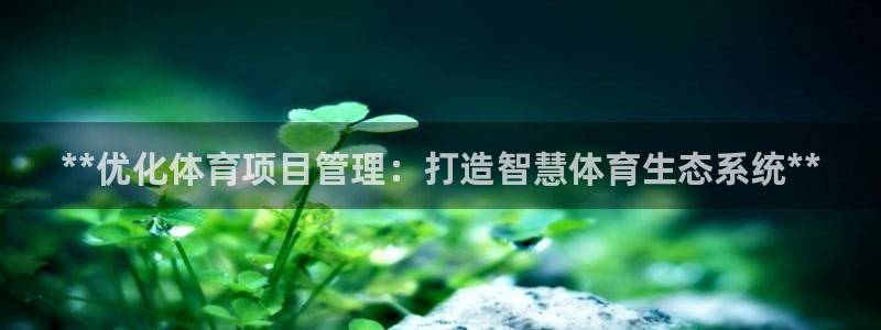 星欧娱乐平台测速线路设置