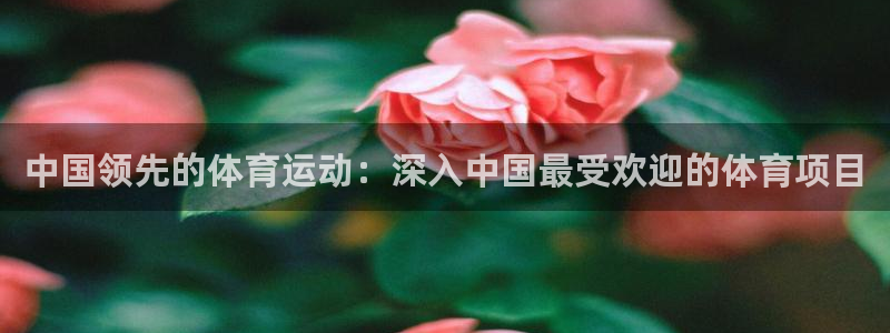 星欧娱乐最建议买的三个产品是哪三个