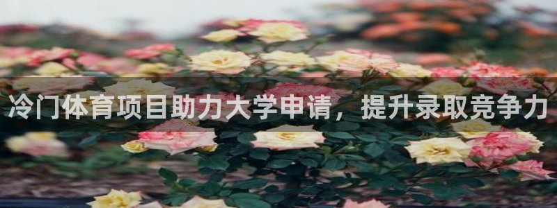 星欧娱乐扣款时间查询方法是什么