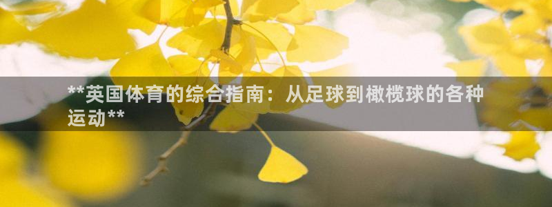 星欧娱乐的创始人背景故事