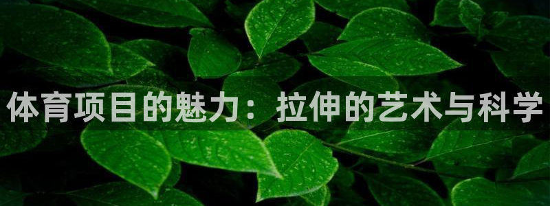 星欧娱乐扣款时间查询方法是什么呢