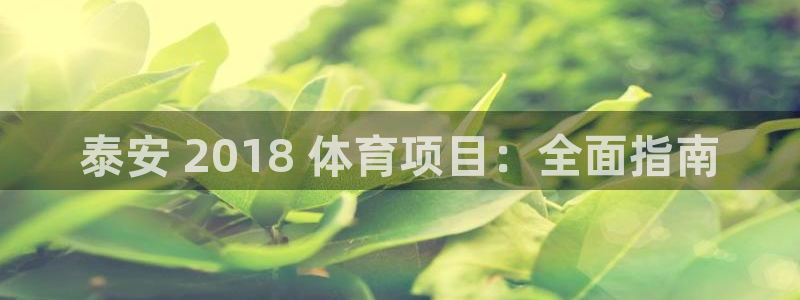 星欧娱乐属于什么档次的软件公司