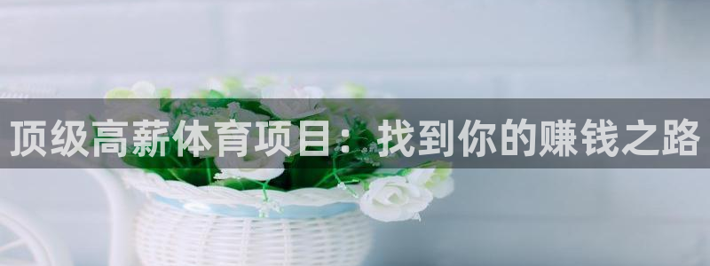 星乐娱乐