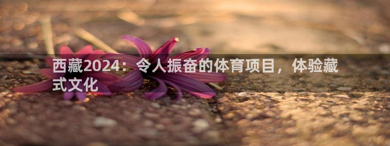 新星娱乐怎么开挂