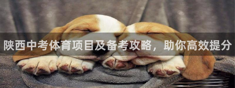 星欧娱乐平台怎么样可靠吗知乎