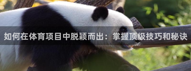 江苏星奥娱乐有限公司