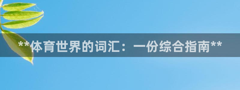 星欧娱乐属于什么档次的软件公司