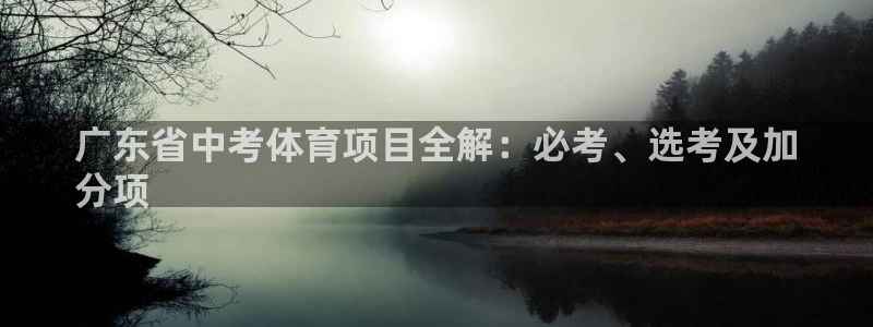 星欧娱乐公司创始人背景故事简介