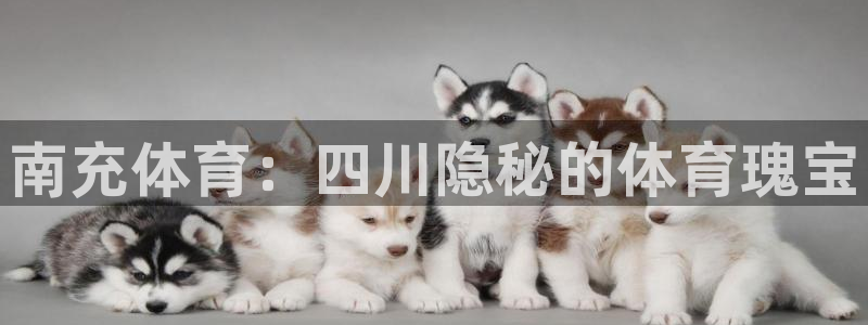 星欧娱乐下载最新版本更新内容