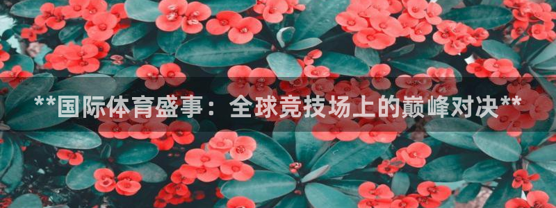 星娱乐文化传媒