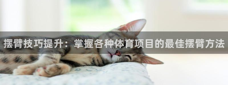 星欧娱乐雀V是什么平台