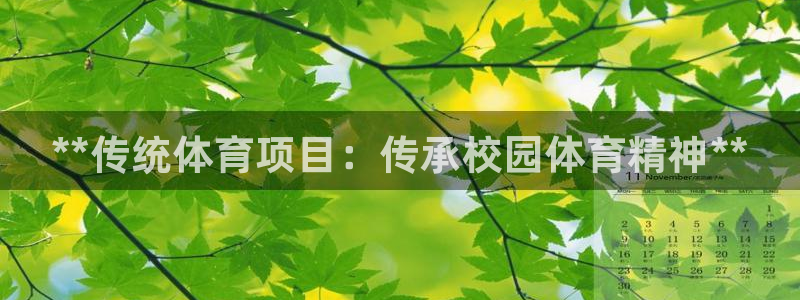 传奇星娱乐