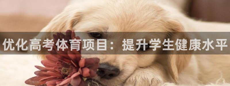 星欧娱乐平台怎么样可靠吗知乎