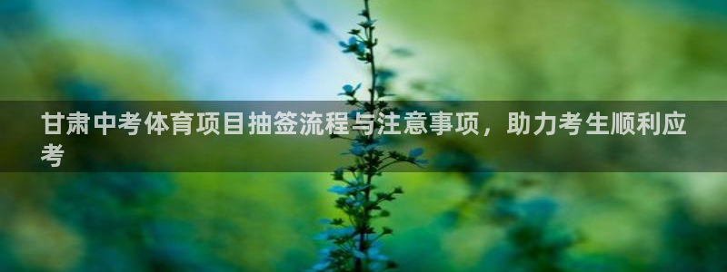 星欧娱乐最建议买的三个产品是哪三个