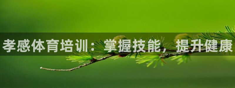 星欧娱乐最建议买的三个游戏