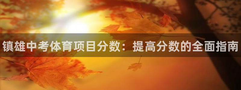 星欧娱乐扣款流程详解图片