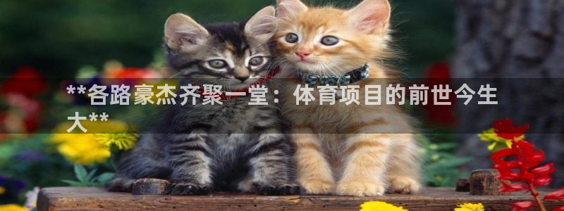 星欧娱乐彩票软件下载