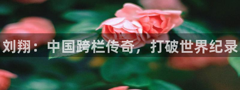 星欧娱乐平台怎么样啊知乎