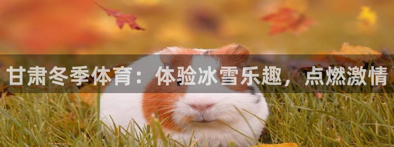 星欧娱乐平台方7O777