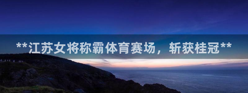 新星娱乐怎么开挂