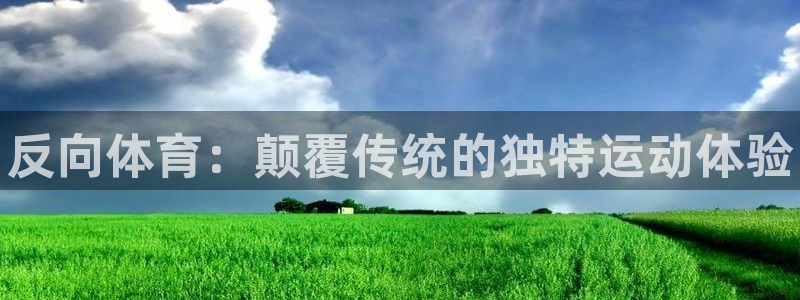 星欧娱乐扣款流程详解图片大全