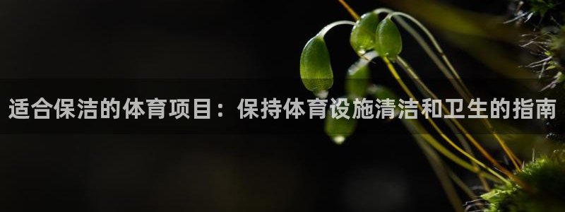 星欧娱乐公司地址