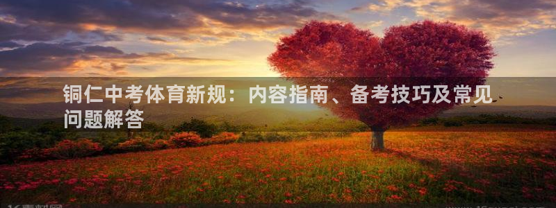 星欧娱乐的官方版本更新内容