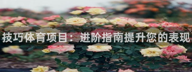 江苏星奥娱乐招艺人