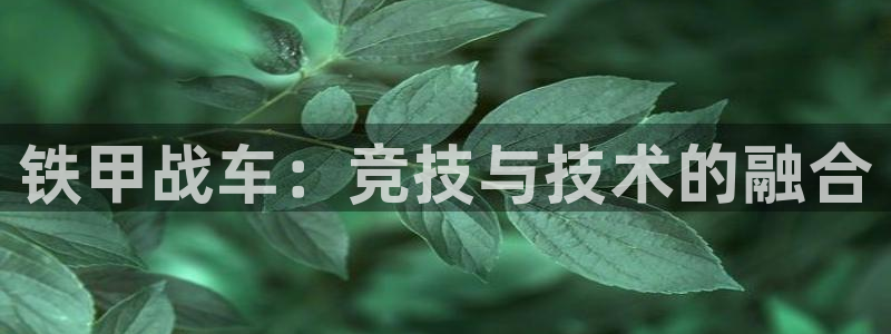 星娱乐文化传媒有限公司