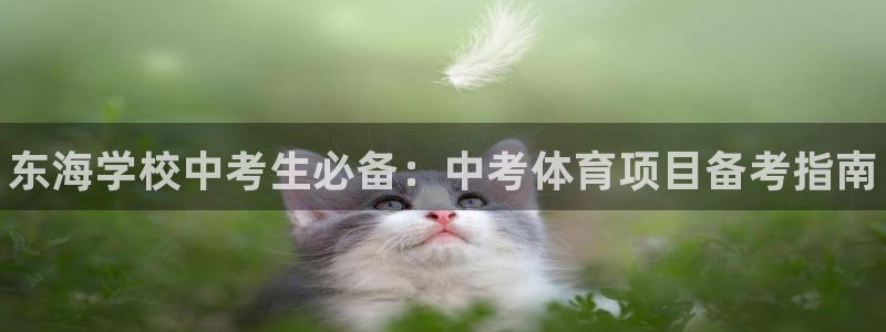 星欧娱乐平台怎么样啊安全吗