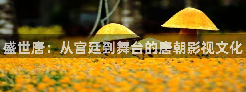 丫丫影院免费观看电影：盛世唐：从宫廷到舞台的唐朝影视文化