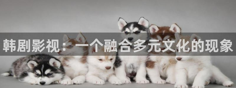 光棍影院丫丫：韩剧影视：一个融合多元文化的现象