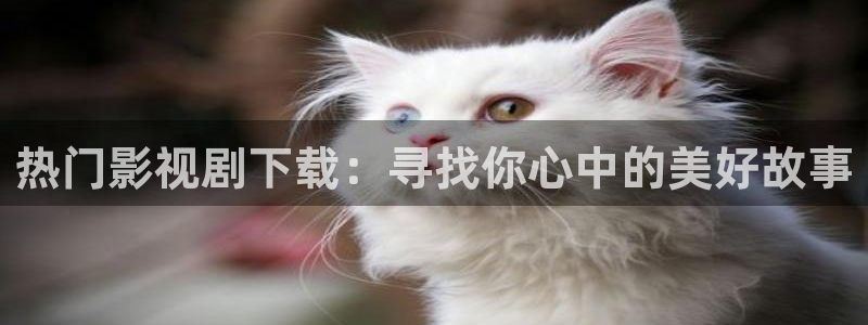 丫丫影院免费在线看电视剧：热门影视剧下载：寻找你心中的美好故事