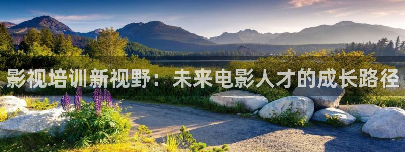 丫丫光棍影院：影视培训新视野：未来电影人才的成长路径