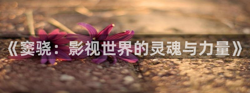 丫丫影院免费观看电视剧丫丫6080：《窦骁：影视世界的灵魂与力量》