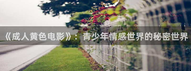 丫丫影院免费观看电影：《成人黄色电影》：青少年情感世界的秘密世界