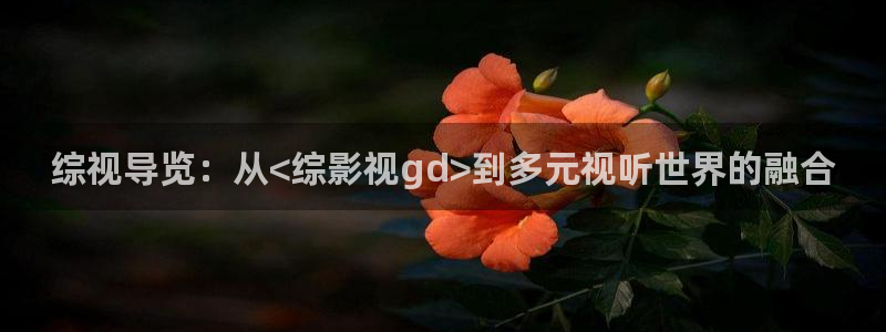 丫丫私人影院：综视导览：从<综影视gd>到多元视听世界的融合