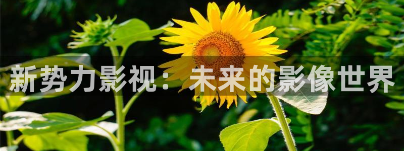 丫丫影院在线播放电视剧：新势力影视：未来的影像世界